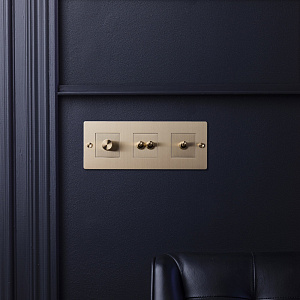 Рамка Buster and Punch Plates and Modules 3G brass CPL-052021