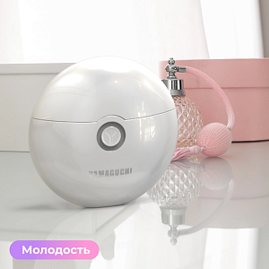 Прибор для подтяжки кожи лица и декольте Yamaguchi EMS Face Lifting