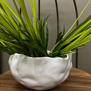 Предмет декора PRATO CON RADIC  Adriani Rossi