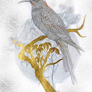 Итальянская картина The Golden Nest. Фактурная штукатурка на алюминии. Художник Kumar Ashima