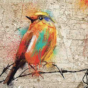 Современное искусство Италия Картина на алюминии животный мир 120х120 CF- 007  Художник Claudio Fabb