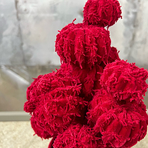 Скульптура Cactus Rubino L181/10 Adriani&Rossi