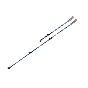 Палки для скандинавской ходьбы Yamaguchi Forward