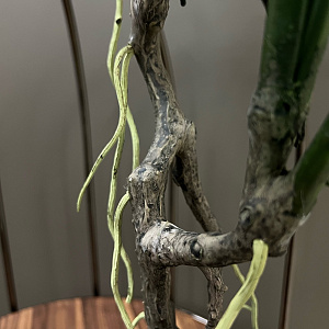 Искусственное растение Spiltphilodendron Small L184  Adriani&Rossi Италия