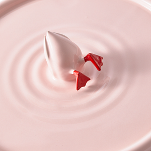 Блюдо Pols Potten Duffy Diving Duck Pink