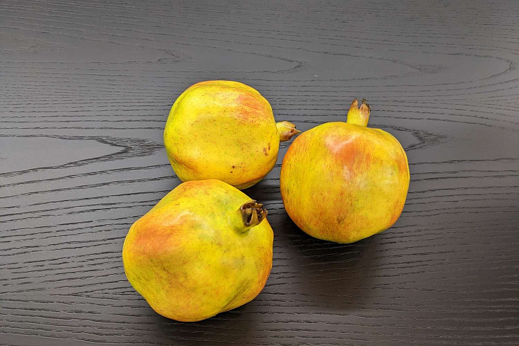  Декоративные фрукты Melograno , фото № 1