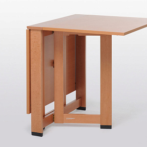 Стол книжка Foppapedretti Cartesio