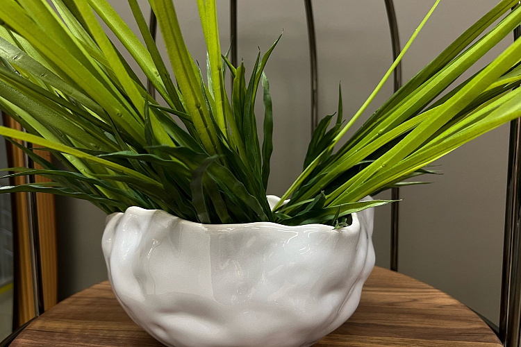  Ваза Ciotola Well Media Q199 , фото № 1