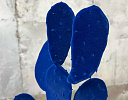  Скульптура Cactus Blu L179/10 , фото № 4